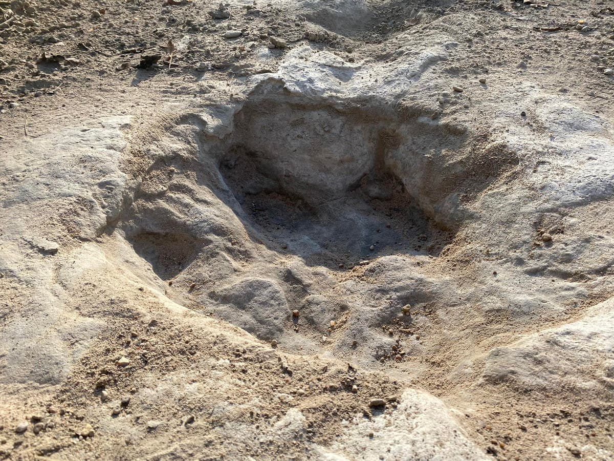 Dinosaur tracks from 113 million years ago uncovered due to severe drought