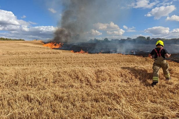 Bedfordshire Fire and Rescue issue warning about dangers of fires as heatwave hits county