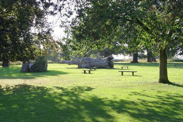 Picnic spot and new play area amongst ideas for Stockwood Park improvements