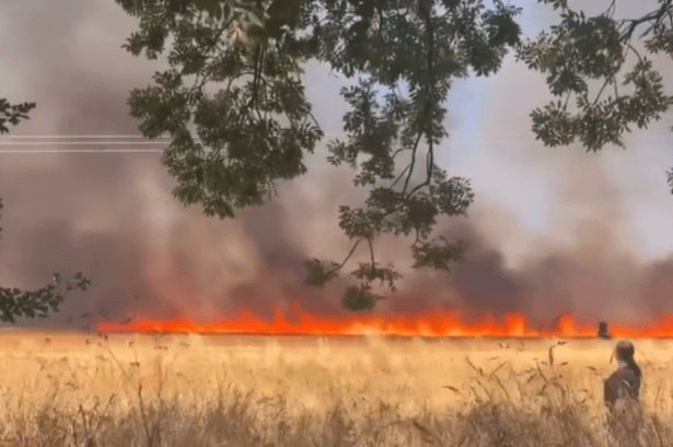 Video shows huge fire tearing through stubble field as five crews tackle blaze in Luton