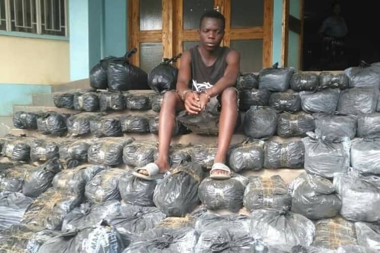 Teen arrested in Blantyre over Chamba - Malawi 24